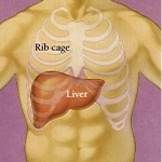 Ayurvedic Liver Care